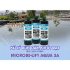 MEN VI SINH XỬ LÝ BÙN ĐÁY Microbe-Lift AQUA SA. - Hình ảnh 3