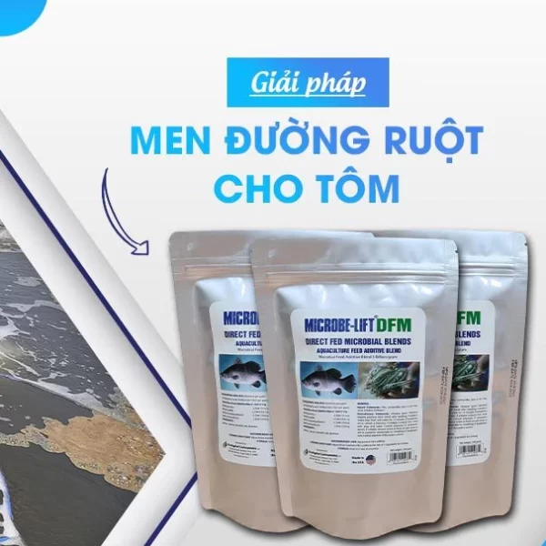MICROBE-LIFT DFM – Men vi sinh đường ruột cho Thủy sản .