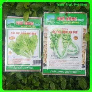 Hạt Giống Cải Bẹ Dún Phú Nông - Gói 20g - 50g