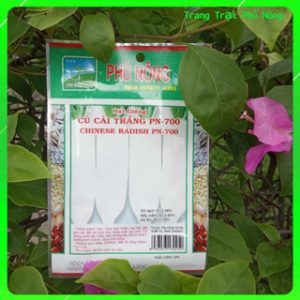 Hạt Giống Củ Cải Trắng F1 PN-700 Phú Nông - Gói 20g - Chinese Radish PN-700