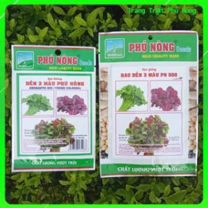 Hạt Giống Rau Dền Ba Màu Phú Nông - Gói 20g -50g - Amaranth Mix(Three Colours)