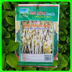 Hạt Giống Mầm Giá Đậu Xanh Phú Nông - Gói 50g - Mung bean for Sprouting