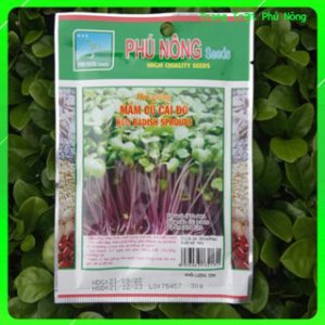 Hạt Giống Rau Mầm Củ Cải Đỏ Phú Nông - Gói 30g - 100g - Red Radish Sprouts