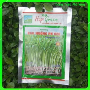 Hạt Giống Rau Muống Mầm Hapi Phú Nông - Gói 100g - Convolvulus Sprouts Hapi