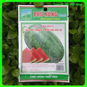 Hạt Giống Dưa Hấu F1 Hắc Mỹ Nhân Thủy Lôi 789 Phú Nông - Gói 1g
