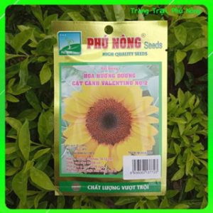 Hạt Giống Hoa Hướng Dương Cắt Cành Valentino No.2 Phú Nông - Gói 10 hạt