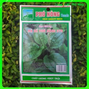 Hạt Giống Rau Mã Đề 279 Phú Nông - Gói 2g