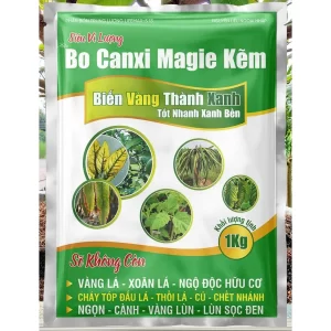 Siêu Vi Lượng Bo Canxi Magie Kẽm nguyên liệu nhập khẩu gói 1kg AA80