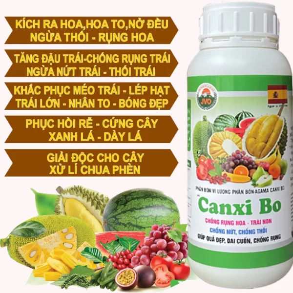 Canxi BO nhập khẩu 100% từ Tây Ban Nha AA65