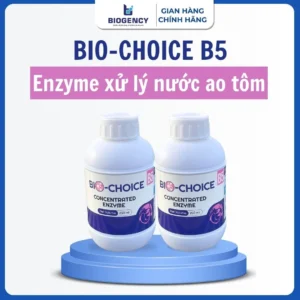 BIO-CHOICE B5 - enzyme ฤแบญm ฤแบทc