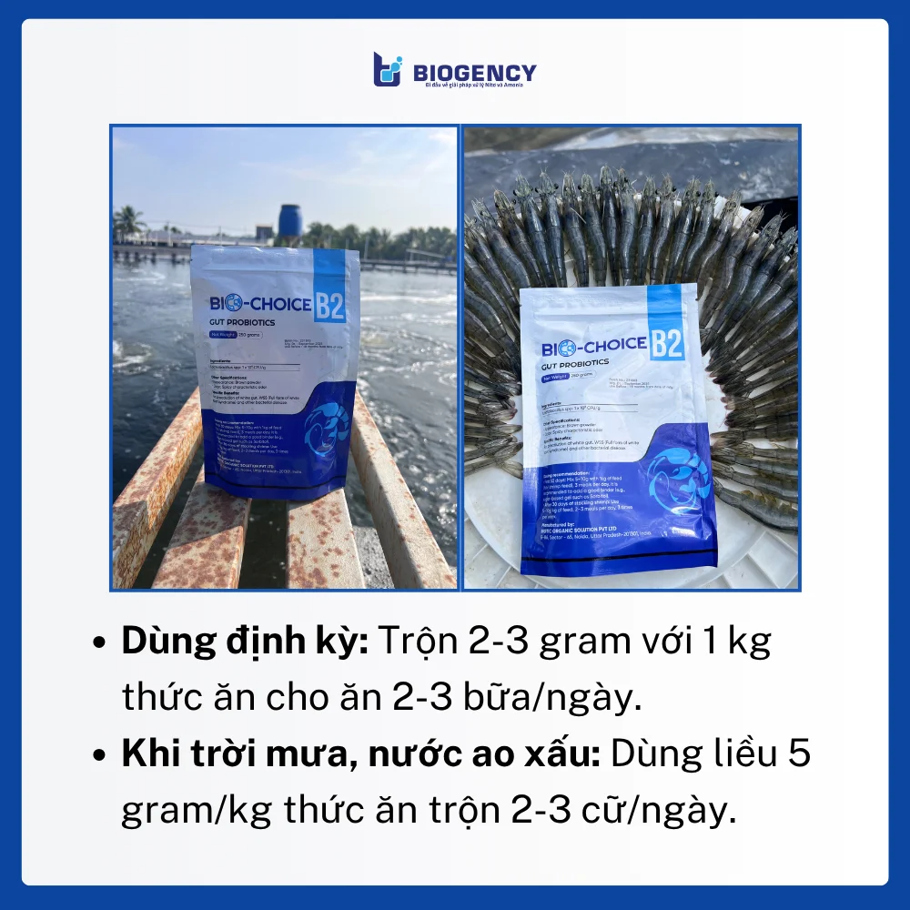 BIO-CHOICE B2 - Men đường ruột - Ảnh 4