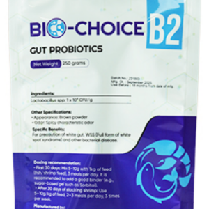 BIO-CHOICE B2 - Men đường ruột