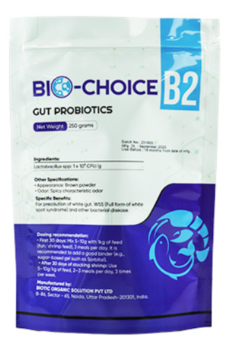 BIO-CHOICE B2 - Men đường ruột